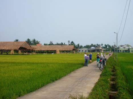 “Ấn tượng Việt Nam trên ruộng đồng miền Di sản”
