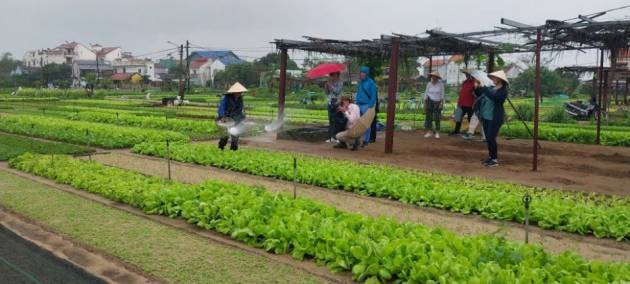 Các nhà ngoại giao Thụy Sỹ trải nghiệm tại “Làng...