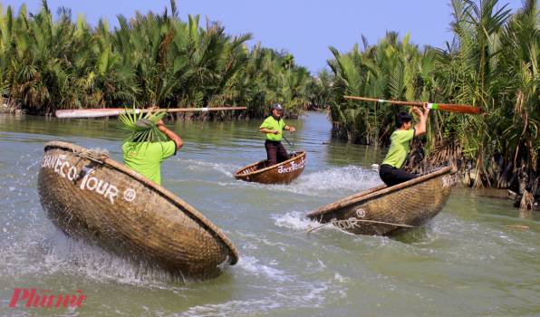 Hội An có 17 tuyến cho du khách tham quan rừng dừa Bảy Mẫu