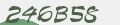 反スパムコード