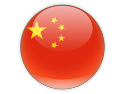 china round icon 256