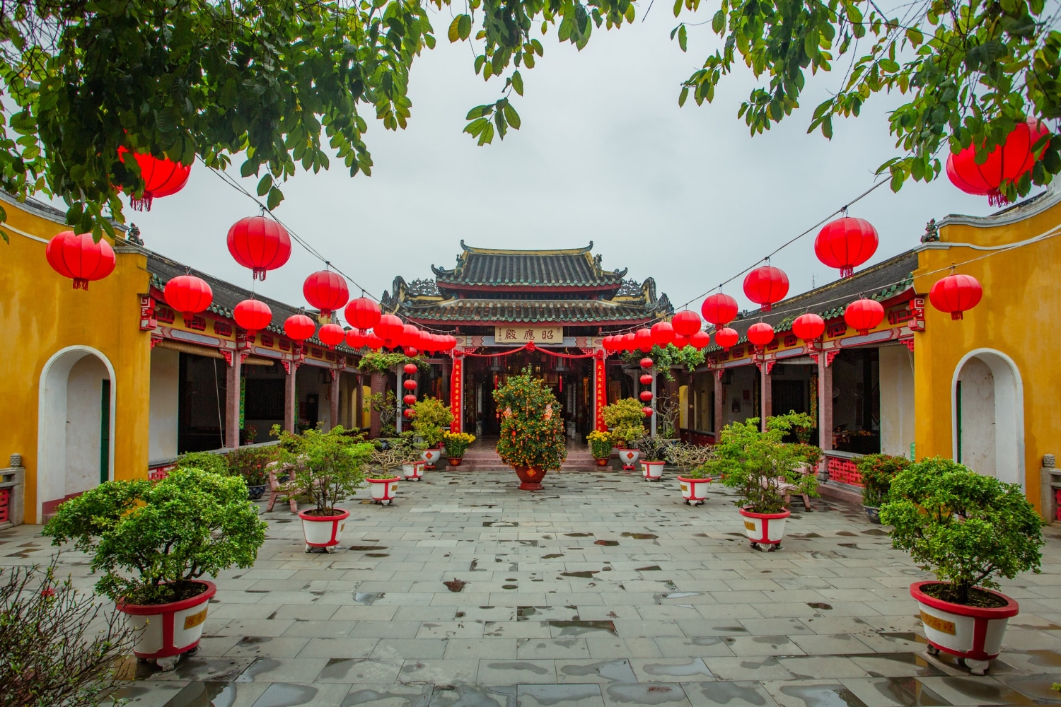 hoi quan hai nam duoc trang tri den long do trong hoi tnt