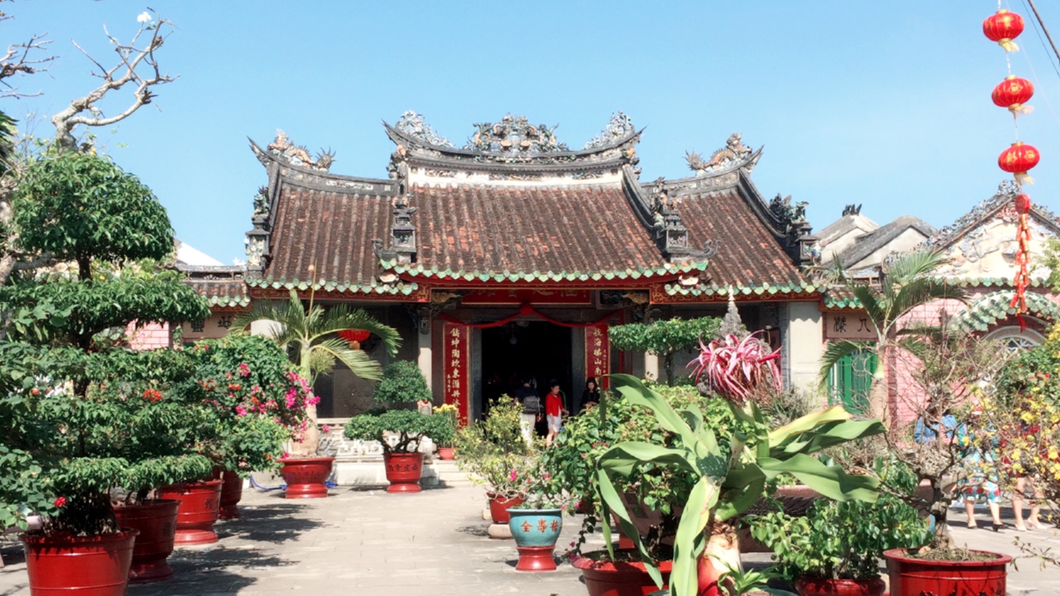 Ve tham quan pho co Hoi An 2026 6